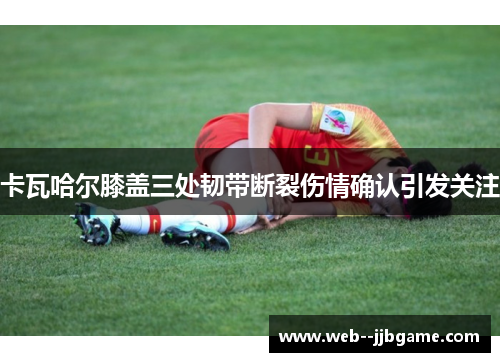 卡瓦哈尔膝盖三处韧带断裂伤情确认引发关注 卡瓦哈尔膝盖三处韧带断裂伤情确认引发关注